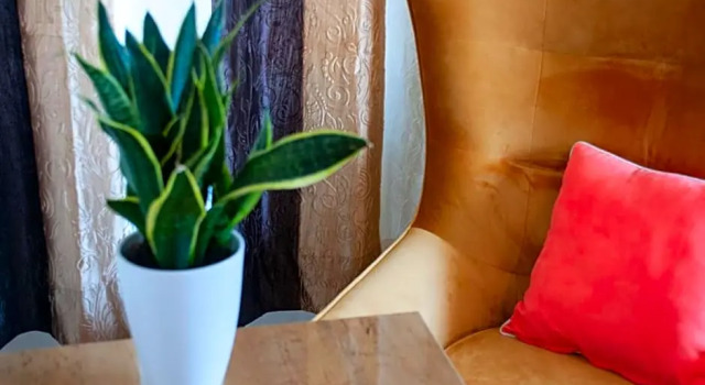 Номер Economy Hotel Isha