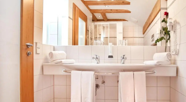 Номер Standard Hotel Binggl