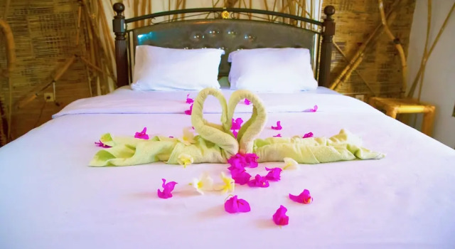 Двухместный номер Comfort The Rabbit Tree Hostel