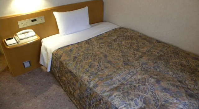 Номер Standard Hotel New Green Okachimachi