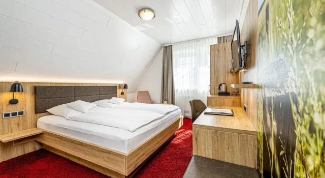 Номер Standard Landhotel Buller