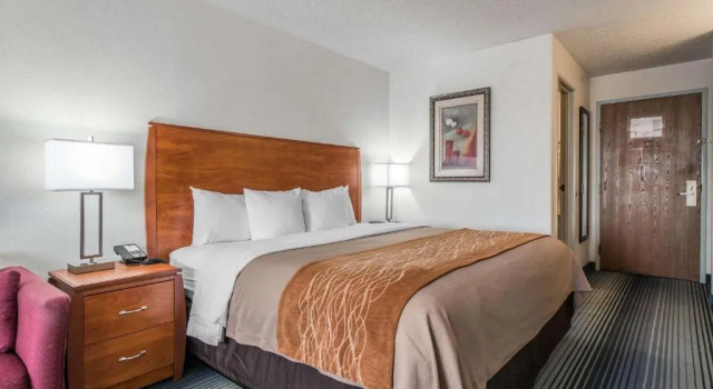 Номер Executive Quality Inn Denver Westminster