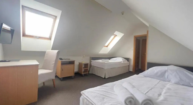 Двухместный номер Standard Hotel PAYER