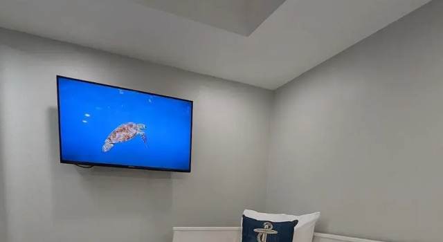 Sea Club #25 - Dolphin's Watch