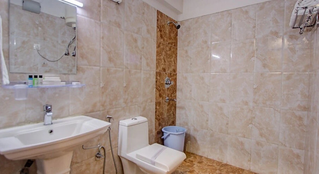 Люкс Royal Hotel Natraj Pure Veg