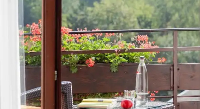 Одноместный номер Premium с балконом Hotel-Restaurant Birkenhof