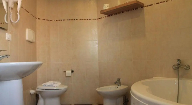 Двухместный номер Standard Park Hotel Italia