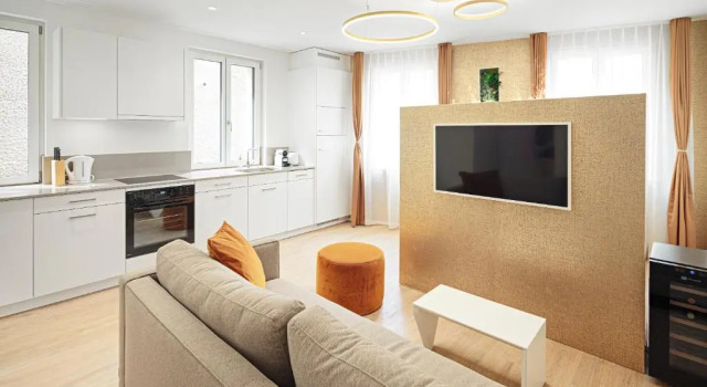 Люкс Superior VISIMO Apartments Mühlensteg St Gallen - Elegant Quiet Central