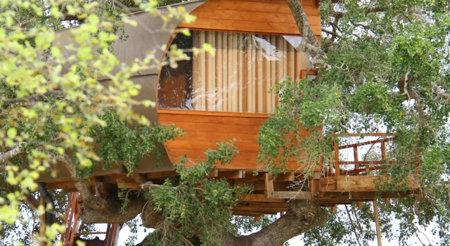 Двухместный номер Standard Leopard Nest in Yala