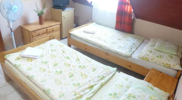 Двухместный номер Standard Família Panzió