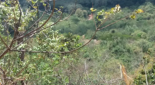 Nalanda Relaxation And Caping Site, Забронировать Отель Отели Элькадува с завтраком, Завтраки