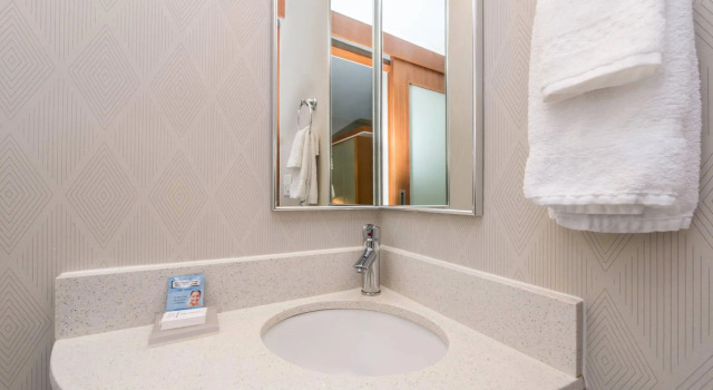 Двухместный люкс SpringHill Suites by Marriott Huntsville Downtown