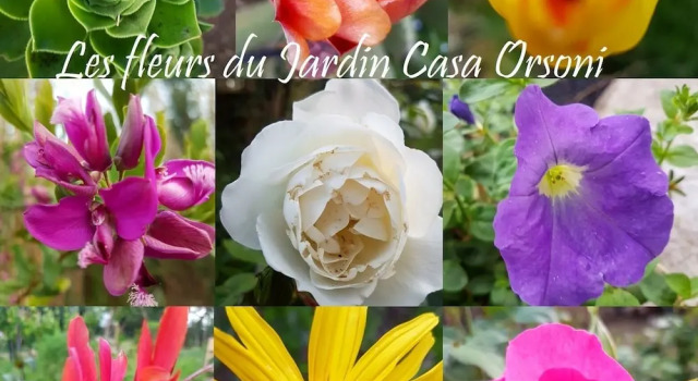 Студия Comfort Casa Orsoni