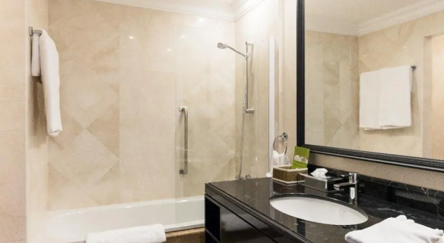 Двухместный номер Executive Hotel Prahova Plaza