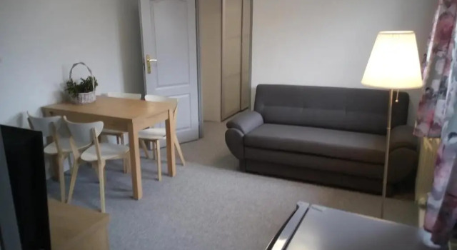 Апартаменты c 1 комнатой Apartamenty i pokoje Pluszak