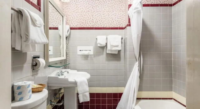 Двухместный номер Standard The Lafayette A grand Riverboat Era Hotel
