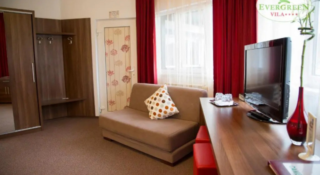 Номер Superior Vila Evergreen