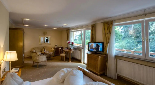 Полулюкс с видом на улицу Hotel Aster