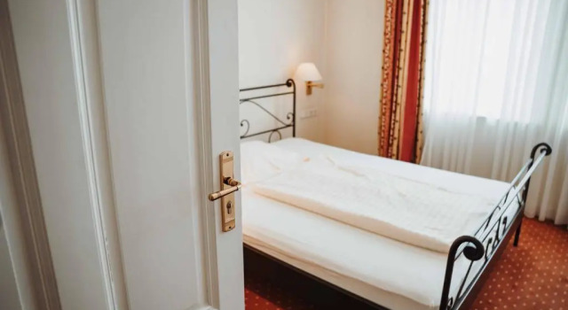 Одноместный номер Standard Hotel am Wallgraben