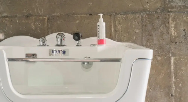 Вилла Taean Aloha Oe Pet Pool Villa
