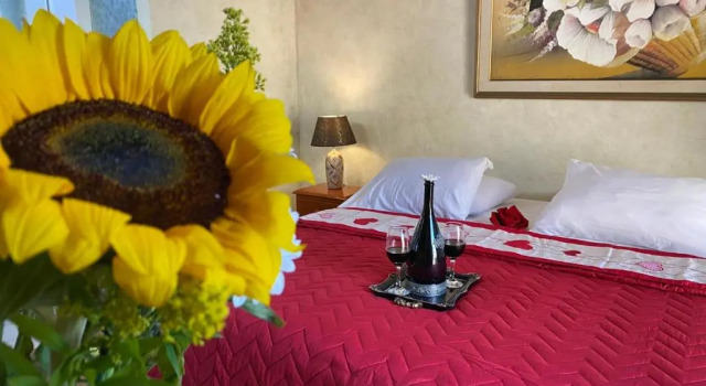 Полулюкс с видом на бассейн Hotel Boutique Castillo Ines Maria