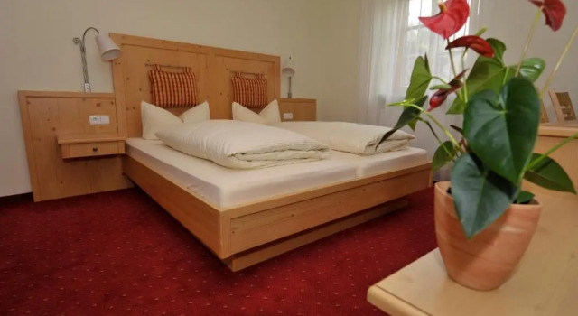 Двухместный номер Standard Landgasthof Drei Rosen