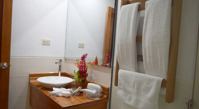 Номер Standard Hotel Jungle House