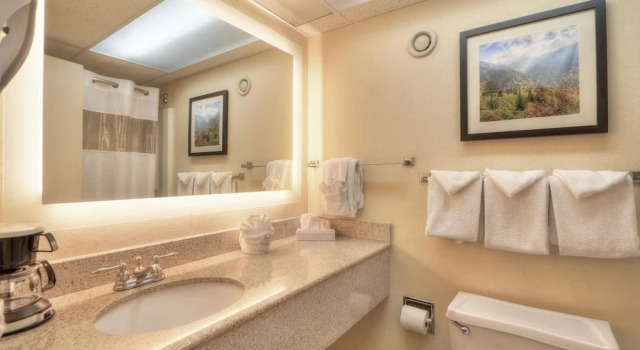 Номер Standard с балконом и с видом на реку Edgewater Hotel - Gatlinburg