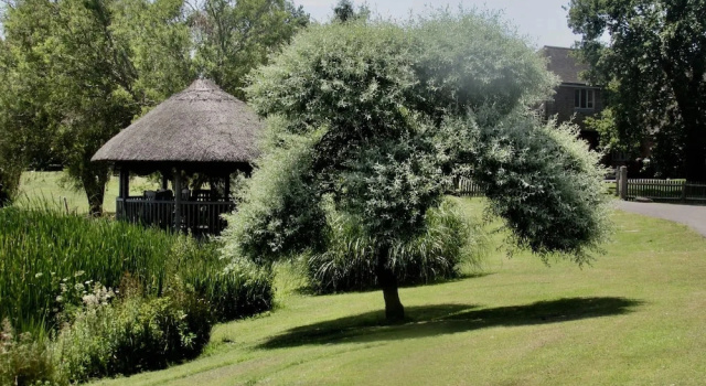 Шале Luxury Northlands Farm & Lakes