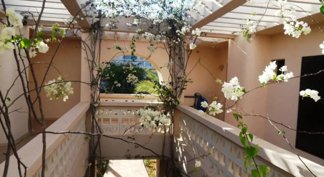 Четырёхместный номер Standard Hotel Zita Beach Resort