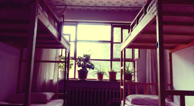 Кровать в общем номере Anda Guesthouse
