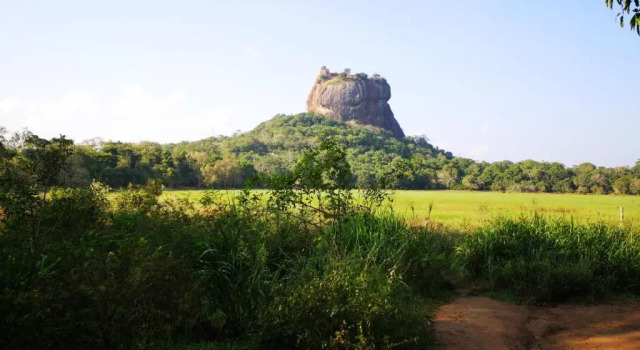 Номер Standard The Cattleya Guest House Sigiriya