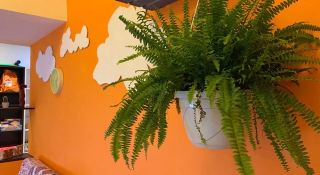 Apartment with One Bedroom in Genova, with Enclosed Garden And Wifi - 3 Km From the Beach, Забронировать Апартаменты/квартира Апартаменты Генуи, Апартаменты/квартира