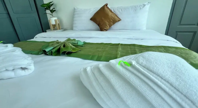 Номер Deluxe LimeTree Loft Guesthouse