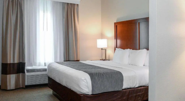 Номер Standard Comfort Inn & Suites Patriots Point