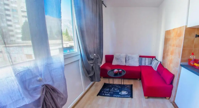 Studio Apartment Zebra