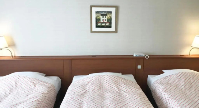 Трёхместный номер Standard Hotel Nikko Huis Ten Bosch