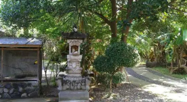 Lila Cita 3 Bali