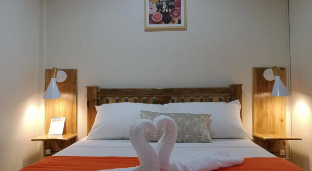 Tropical Stay Accommodations