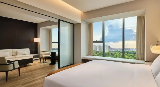 Люкс Deluxe Doubletree By Hilton Changsha Tianxin
