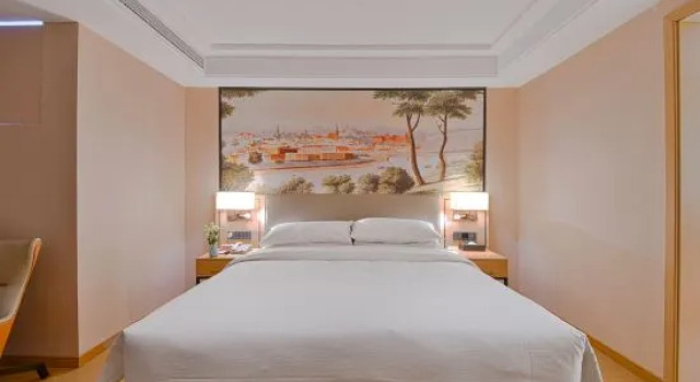 Люкс Deluxe Vienna Hotel (Donghai Jingdu Avenue)