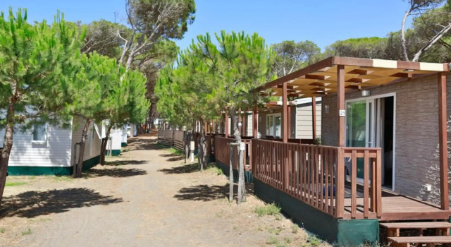 Номер Comfort Gitavillage California