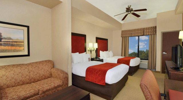 Comfort Suites DFW North/Grapevine