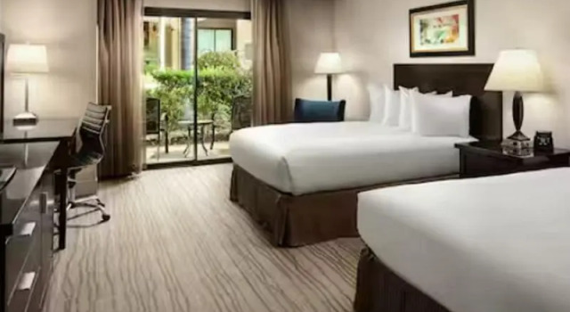 Номер Standard с красивым видом из окна DoubleTree by Hilton Claremont