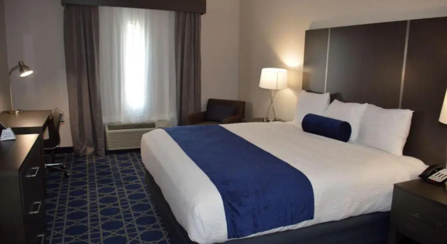 Одноместный люкс Garner Hotel Longview South by IHG