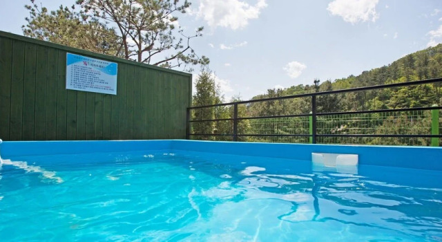 Gapyeong Dream Pool Villa pension, Prenota Villa Hotel a Gyeonggi-do con piscina, Piscina