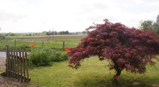 Smithy Cottage, Book Feriehus Blairgowrie and Rattray Perthshire