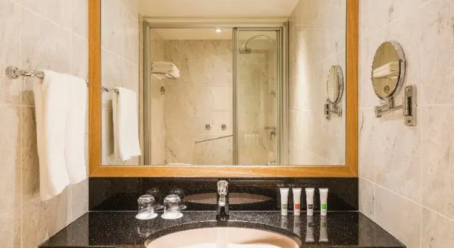 Двухместный номер Swiss Executive Swissotel Nankai Osaka