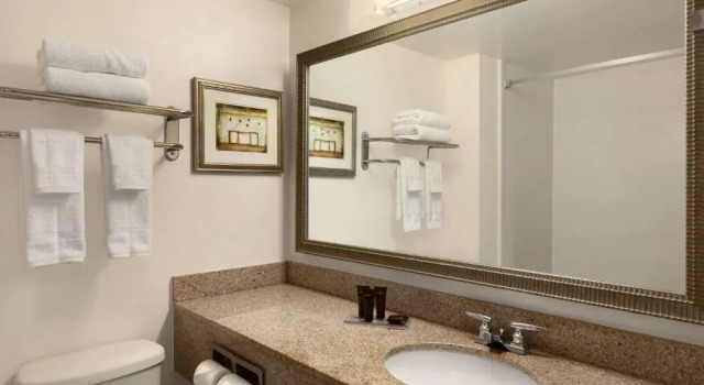 Номер Standard Wingate by Wyndham Montgomery East I-85