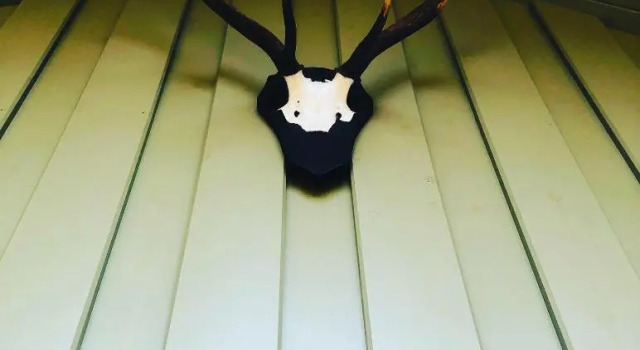Апартаменты Antler Cabin At Woodlea Spean Bridge